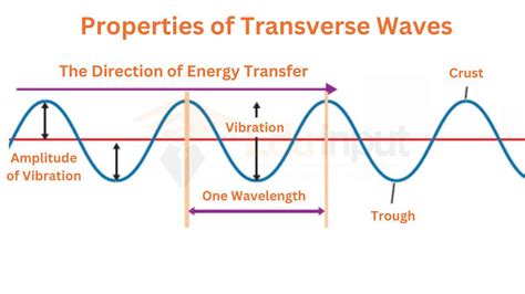 transverse waves , the vibrations are at right angles to the direction of wave travel. Examples of transverse waves include: ripples on the surface of water vibrations in a …